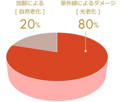 肌トラブルの原因を示す円グラフ