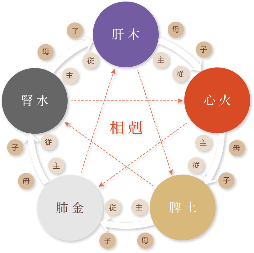 五臓の図