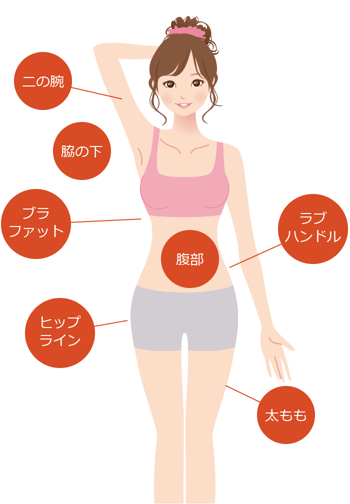 二の腕、脇の下、ブラファット、ヒップライン、腹部、ラブハンドル、太もも