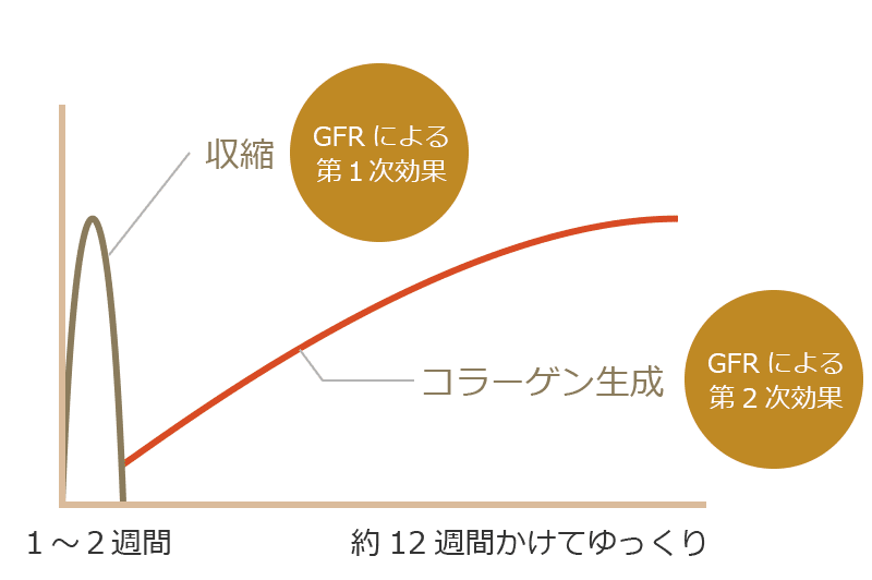 GFRによる第1次効果、第2次効果のグラフ